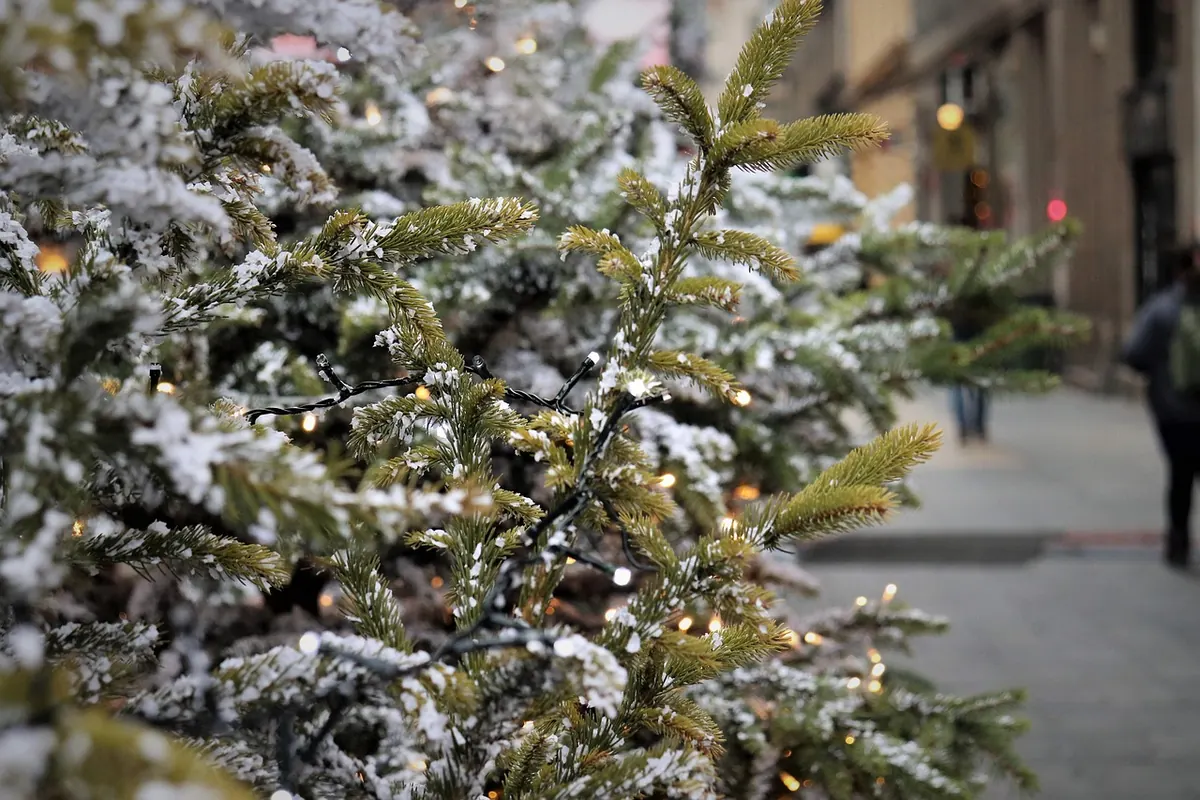 Bury Christmas Lights Switch-On: What to Expect and How to Plan Your Evening